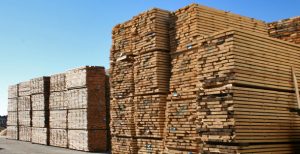 Bán gỗ thông nhập khẩu Chile. Chuyên cung cấp gỗ thông nhập khẩu chile, gỗ thông new zealand, gỗ thông brazil. Liên hệ 0982631199