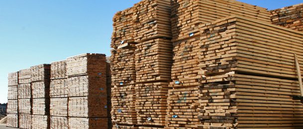 Bán gỗ thông nhập khẩu Chile - Liên hệ Mr Phong 0982631199