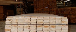 Bán gỗ thông nhập khẩu Chile - Liên hệ Mr Phong 0982631199