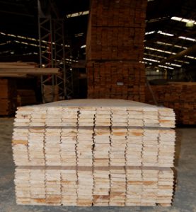 Bán gỗ thông xẻ tại Tây Ninh - Liên hệ 098 263 1199