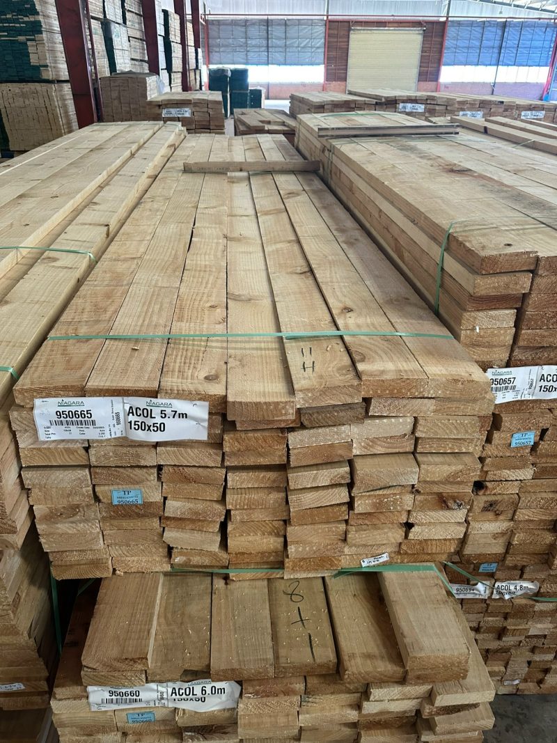 gỗ thông 50mm newzelandd