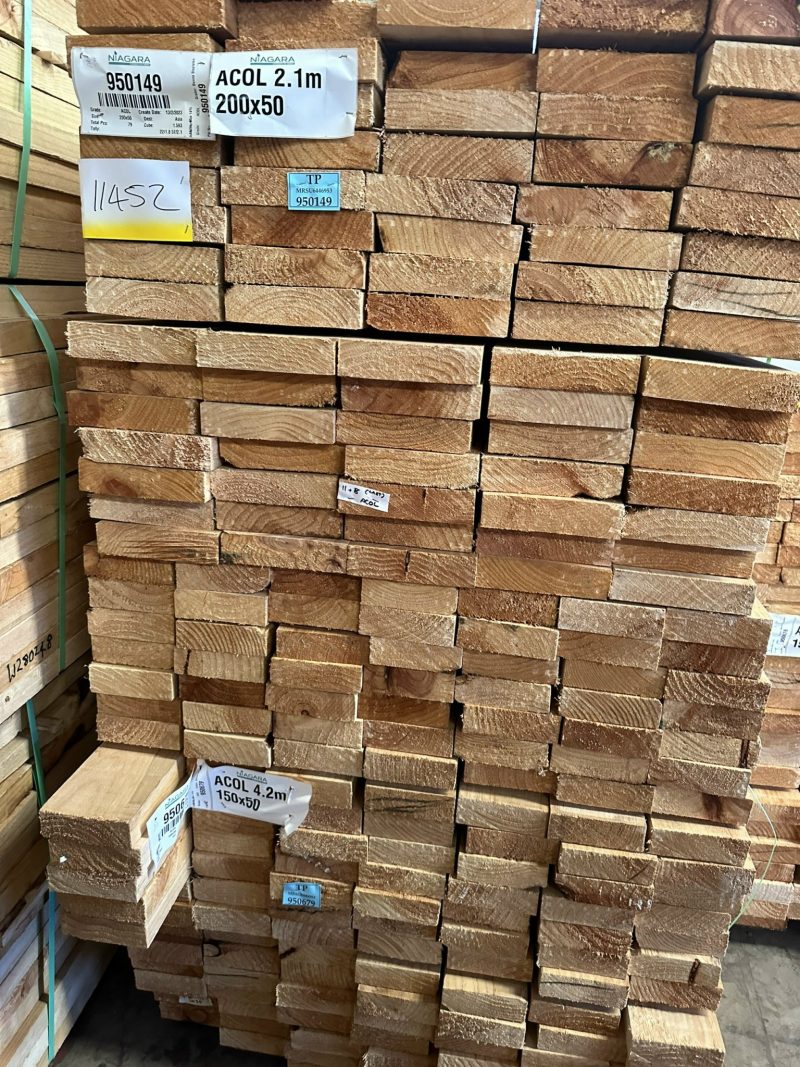 gỗ thông 50mm newzelandd