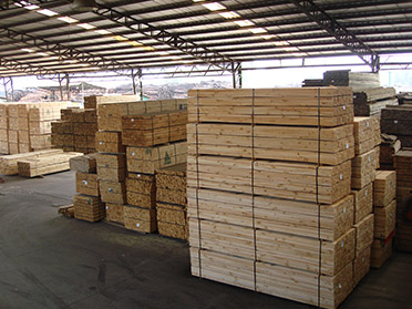 Bán gỗ thông nhập khẩu Brazil. Chuyên cung cấp gỗ thông nhập khẩu chile, gỗ thông new zealand, gỗ thông brazil. Liên hệ 0982631199