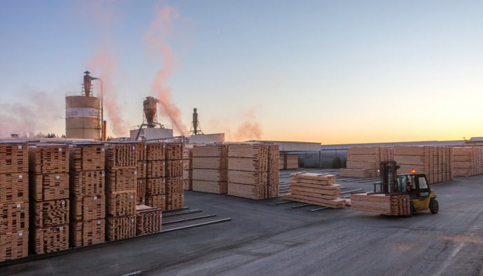 Bán gỗ nhập khẩu New Zealand - Liên hệ Mr Phong 0982631199