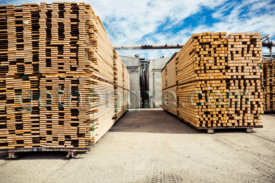 Bán gỗ thông xẻ nhập khẩu tại quận 8